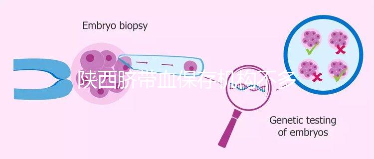 陜西臍帶血保存機構不多,咸陽想自存請準備好費用去合肥