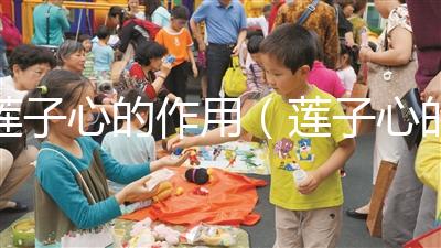 蓮子心的作用(蓮子心的作用與功效)