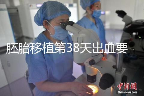 胚胎移植第38天出血要重視,約30%的孕婦會有流產風險