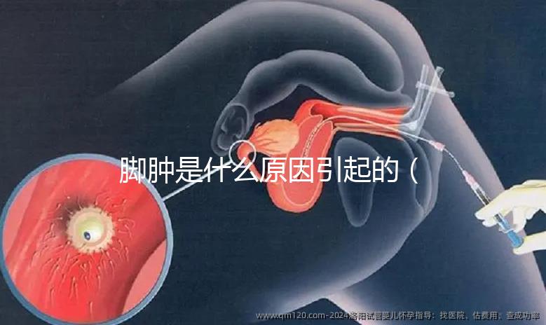 腳腫是什么原因引起的(腳腫是什么原因引起的?女性)