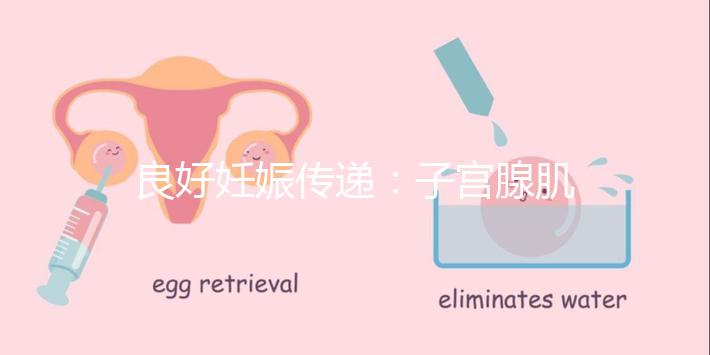 良好妊娠傳遞:子宮腺肌病,移植成功!