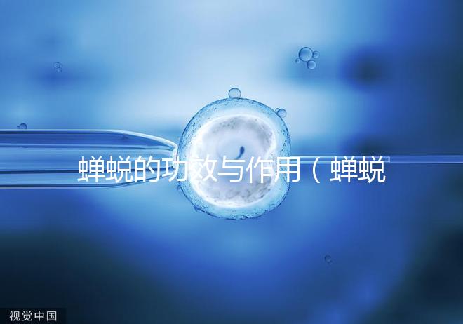 蟬蛻的功效與作用(蟬蛻的壯陽功效)