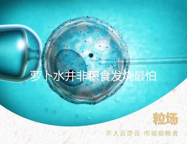 蘿卜水并非積食發燒最怕的1種水,天天煮這些喝胃口倍棒