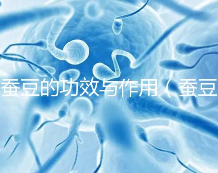 蠶豆的功效與作用(蠶豆的功效與作用及營(yíng)養(yǎng)價(jià)值)