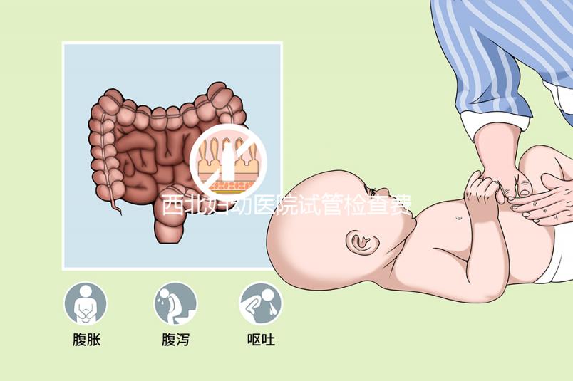 西北婦幼醫(yī)院試管檢查費(fèi)用流出!做完記得來這領(lǐng)報(bào)告單
