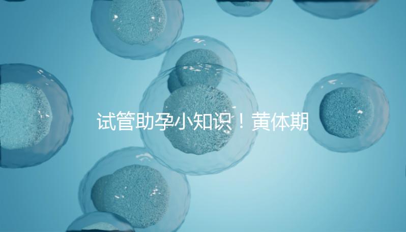 試管助孕小知識！黃體期促排卵這5大注意事項都看看