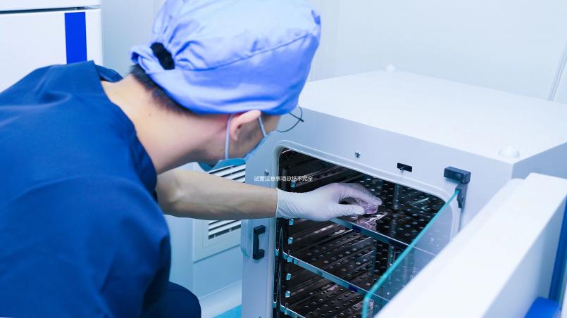 試管注意事項總結不完全縱隔子宮，要想成功，就要避免