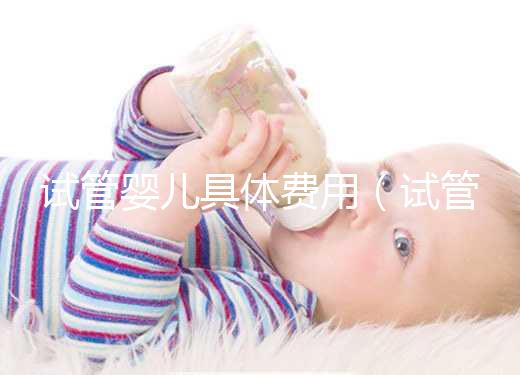 試管嬰兒具體費用(試管嬰兒具體費用明細(xì))