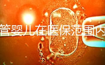 試管嬰兒在醫保范圍內(試管嬰兒在醫保范圍內能報銷嗎)