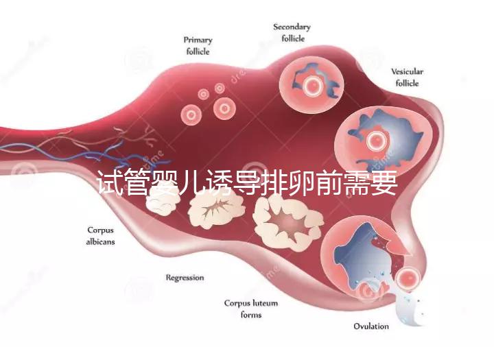 試管嬰兒誘導(dǎo)排卵前需要做哪些準(zhǔn)備工作？