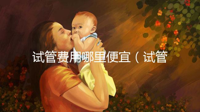 試管費(fèi)用哪里便宜（試管費(fèi)用哪里便宜點(diǎn)）