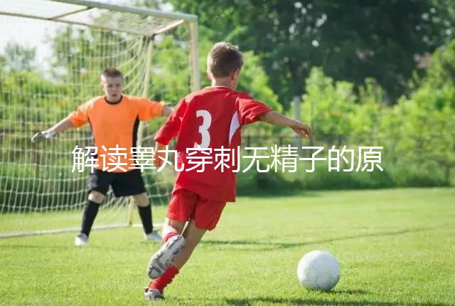 解讀睪丸穿刺無(wú)精子的原因，治愈性不大供精或是最后選擇