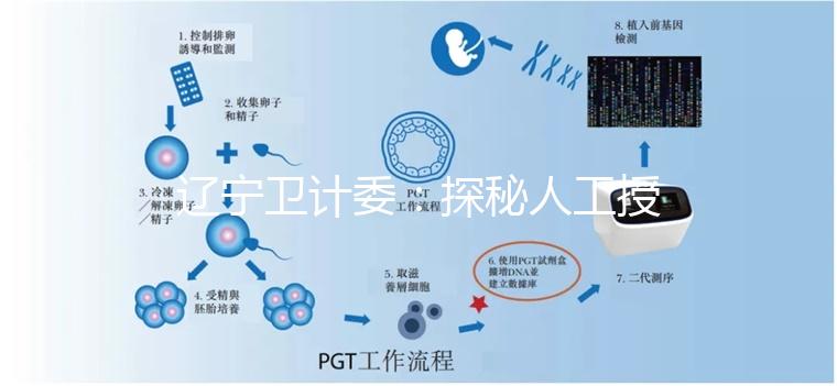 遼寧衛計委:探秘人工授精和試管嬰兒的區別