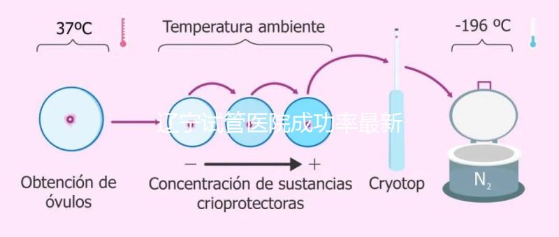 遼寧試管醫院成功率最新前十排名流出,盛京醫院竟錯失榜首