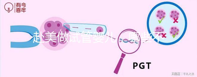 赴美做試管嬰兒,哪些不孕類(lèi)問(wèn)題更容易成功?