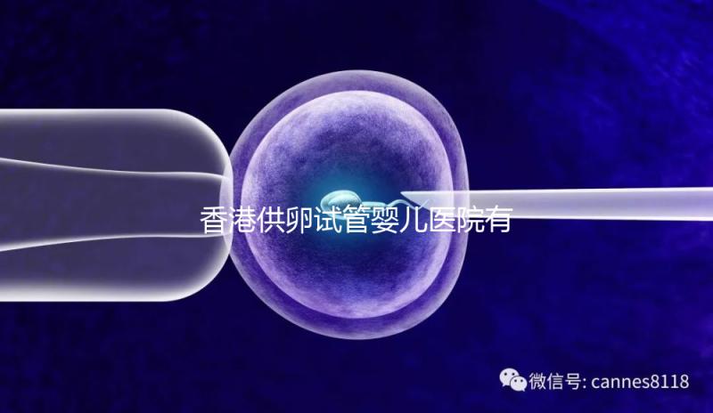 香港供卵試管嬰兒醫(yī)院有哪些點(diǎn)？附2024私立機(jī)構(gòu)排名
