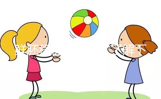 鮮胚移植別瞎來！了解下高齡、試管反復失敗放幾個好