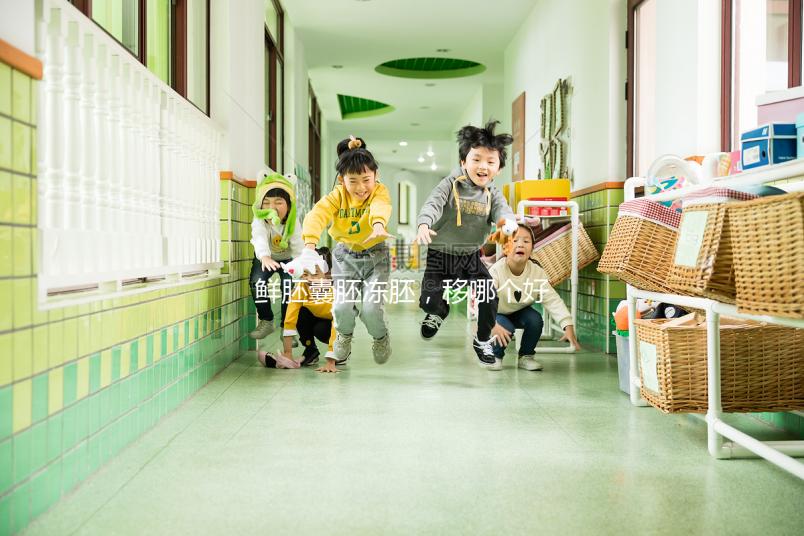 鮮胚囊胚凍胚，移哪個好？關于試管嬰兒的那些事兒