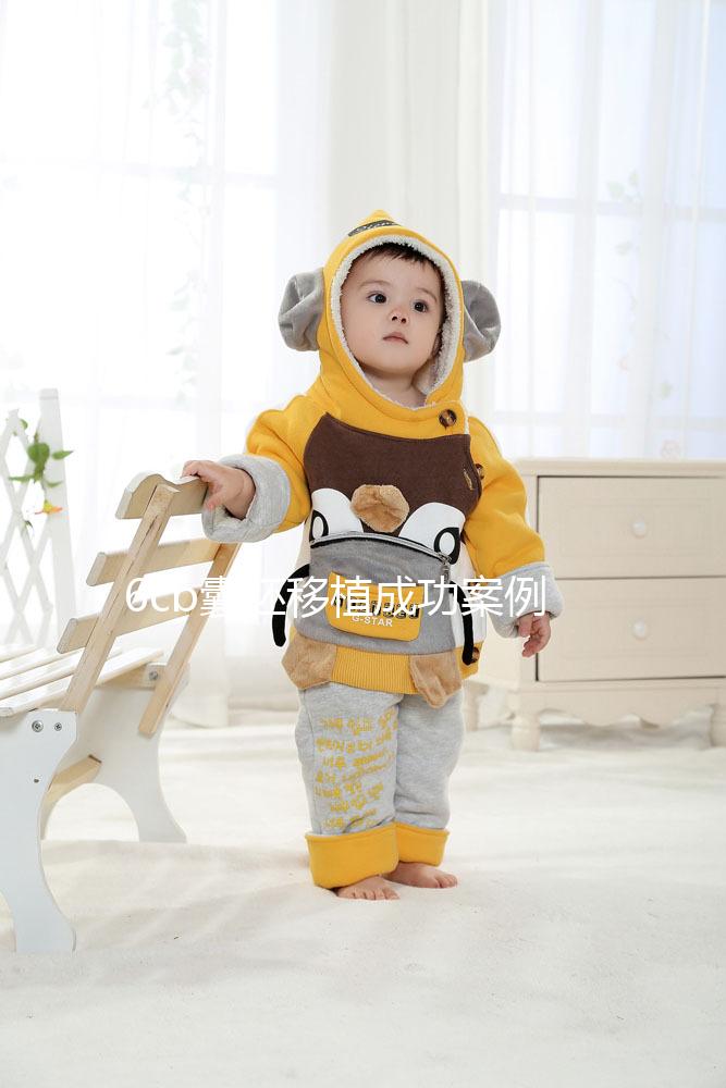 6cb囊胚移植成功案例并不少！過(guò)來(lái)人分享經(jīng)驗(yàn)帶你好孕