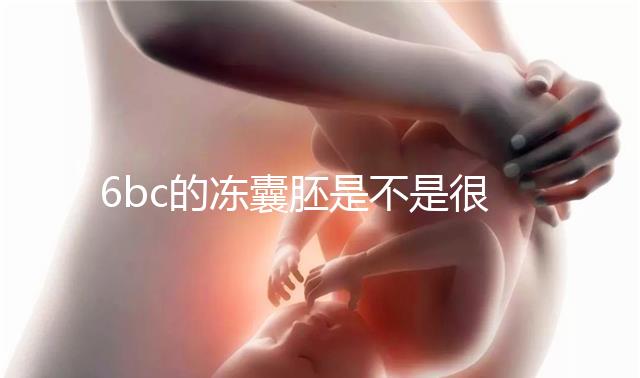 6bc的凍囊胚是不是很差？3分鐘帶你了解胚胎質(zhì)量和級別