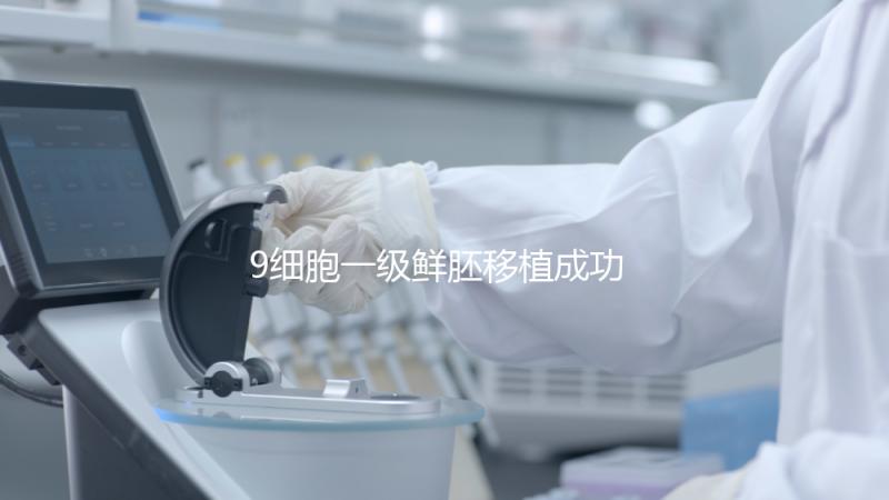 9細胞一級鮮胚移植成功率分析，和8細胞2級相比略遜一籌