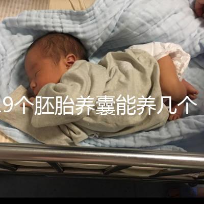 19個(gè)胚胎養(yǎng)囊能養(yǎng)幾個(gè)真難說(shuō)，質(zhì)量好都成功了也屬正常