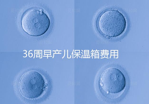 36周早產(chǎn)兒保溫箱費用整理,12天到4斤花不了多少錢