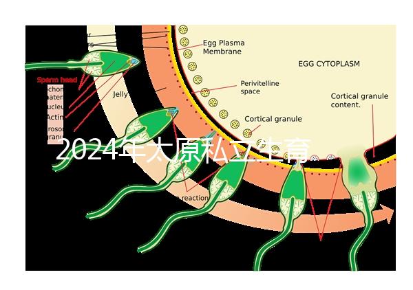 2024年太原私立生育醫(yī)院排名公開,上榜機(jī)構(gòu)分娩條件好