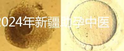 2024年新疆助孕中醫數不勝數，頂尖專家技能水平高