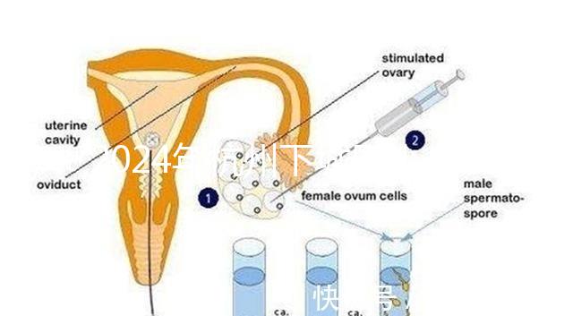 2024年杭州下城區(qū)小學生入學條件清單,資料不準備真的上不去