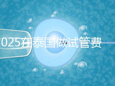 2025在泰國做試管費用預(yù)估,助孕一次不到10萬