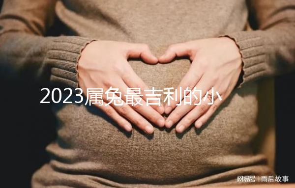 2023屬兔最吉利的小名精選，寓意好又洋氣的字不止涵、蔻