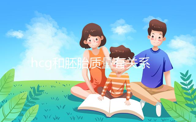 hcg和胚胎質(zhì)量有關(guān)系？hcg低并不一定是胚胎不好！