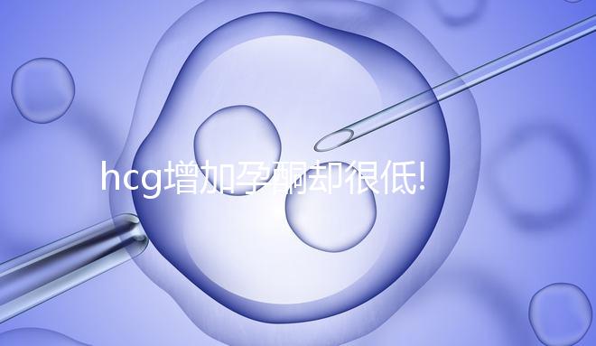 hcg增加孕酮卻很低!準(zhǔn)媽媽們吃這些食物補得快